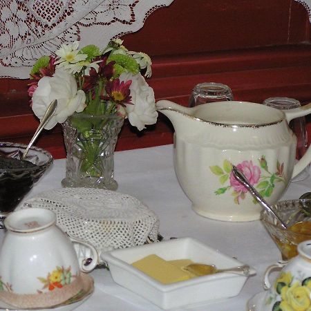 Albatross Inn Bed & Breakfast Данідін Екстер'єр фото